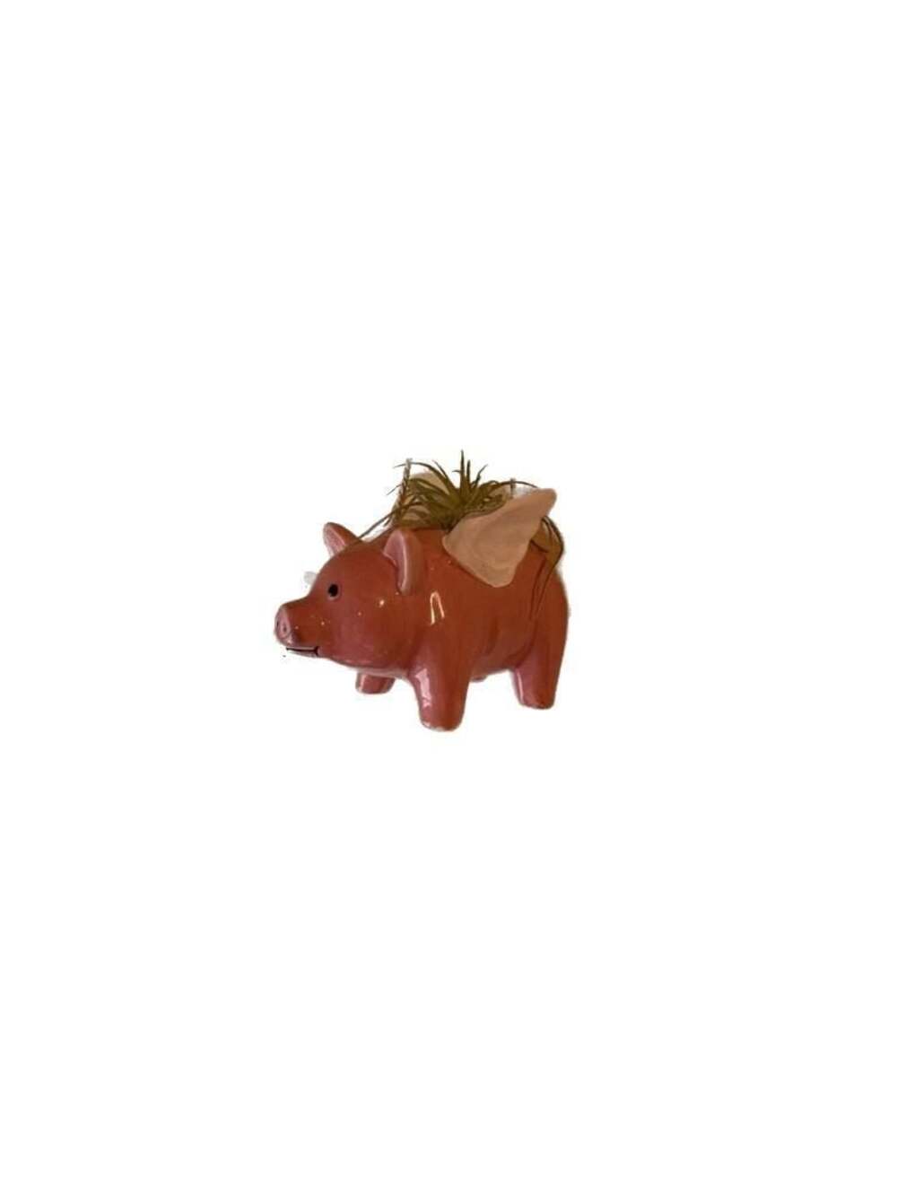 Trinx Ceramic Hanging Flying Pig Planter